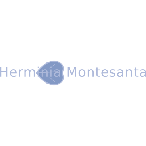 Herminia Montesanta Logo